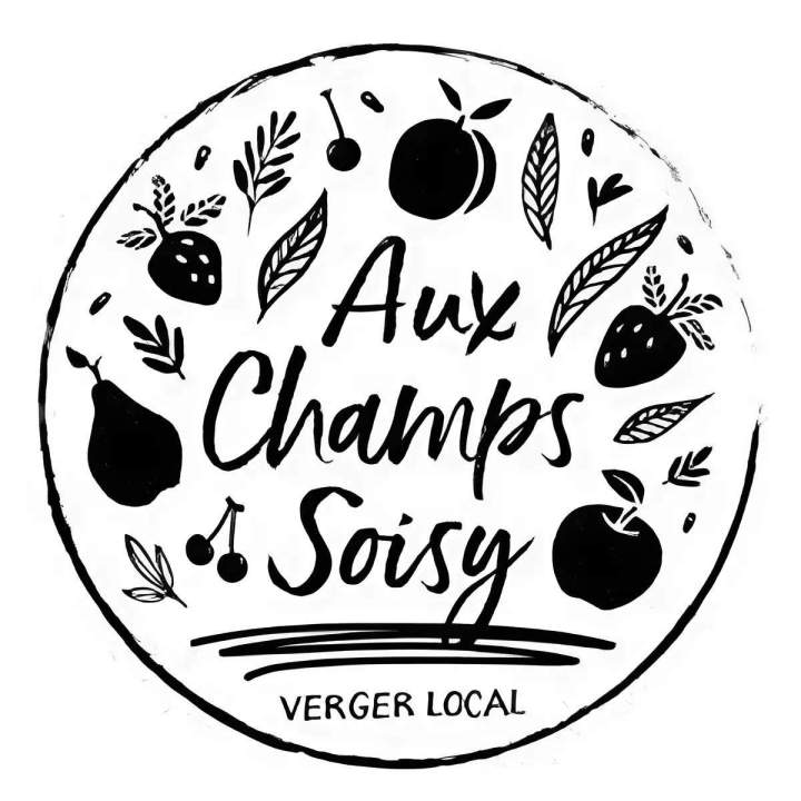 Logo aux chanpms soisy