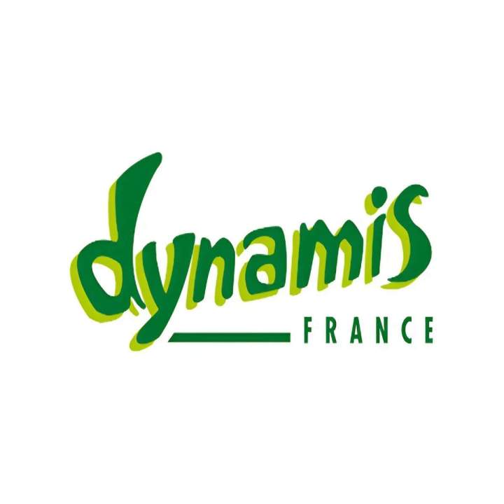 Logo dynamis 