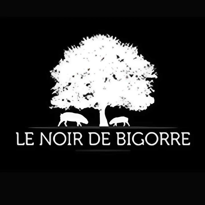 Logo le noir de bigorre 